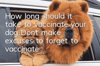 How long should it take to vaccinate your dog? Don’t make excuses to forget to vaccinate your dog!