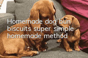 Homemade dog bun biscuits super simple homemade method