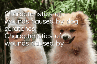 Characteristics of wounds caused by dog ​​scratches Characteristics of wounds caused by dog ​​scratches