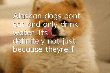Alaskan dogs don’t eat and only drink water. It’s definitely not just because they’re full.