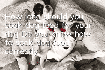 How long should you soak dog food for your dog? Do you know how to soak dog food correctly?