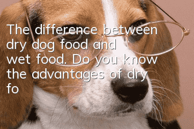 The difference between dry dog food and wet food. Do you know the advantages of dry food and wet food?