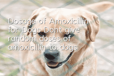 Dosage of Amoxicillin for Dogs Don’t give random doses of amoxicillin to dogs!