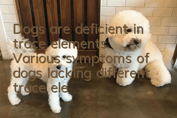 Dogs are deficient in trace elements. Various symptoms of dogs lacking different trace elements.