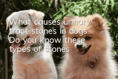 What causes urinary tract stones in dogs? Do you know these types of stones?