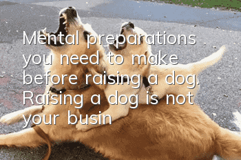 Mental preparations you need to make before raising a dog. Raising a dog is not your business alone.