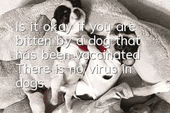 Is it okay if you are bitten by a dog that has been vaccinated? There is no virus in dogs that have been vaccinated. You are too naive.