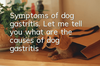 Symptoms of dog gastritis. Let me tell you what are the causes of dog gastritis!
