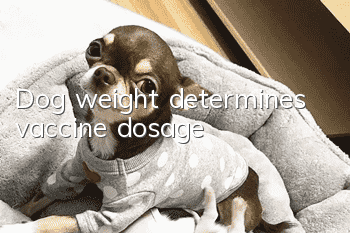 Dog weight determines vaccine dosage