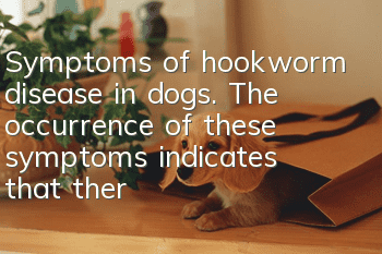 Symptoms of hookworm disease in dogs. The occurrence of these symptoms indicates that there is something wrong with the dog’s body.
