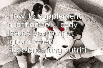 How to supplement nutrition for Teddy? Issues you cannot ignore when supplementing nutrition for Teddy!