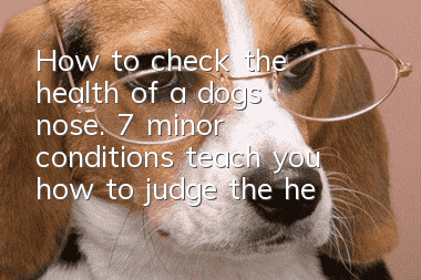 How to check the health of a dog’s nose. 7 minor conditions teach you how to judge the health of a dog from its nose.