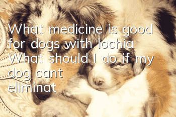 What medicine is good for dogs with lochia? What should I do if my dog ​​can’t eliminate lochia?