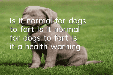 Is it normal for dogs to fart? Is it normal for dogs to fart? Is it a health warning?