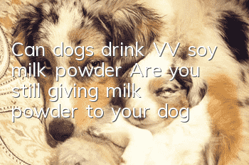 Can dogs drink VV soy milk powder? Are you still giving milk powder to your dog?