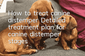 How to treat canine distemper? Detailed treatment plan for canine distemper stages