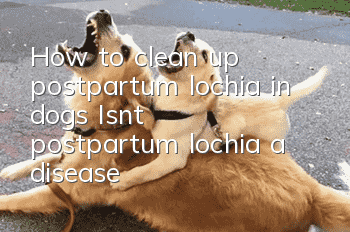 How to clean up postpartum lochia in dogs? Isn’t postpartum lochia a disease?