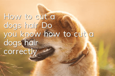 How to cut a dog's hair? Do you know how to cut a dog's hair correctly?