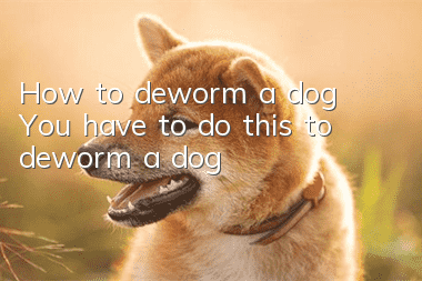 How to deworm a dog? You have to do this to deworm a dog! ! !