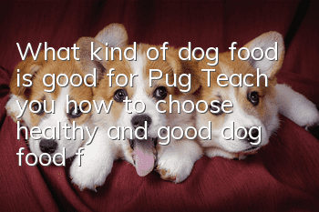 What kind of dog food is good for Pug? Teach you how to choose healthy and good dog food for Pug