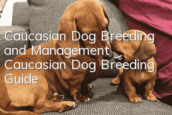 Caucasian Dog Breeding and Management Caucasian Dog Breeding Guide