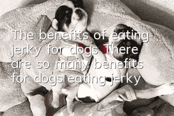 The benefits of eating jerky for dogs There are so many benefits for dogs eating jerky!
