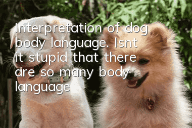 Interpretation of dog body language. Isn’t it stupid that there are so many body languages of dogs that you can’t understand?