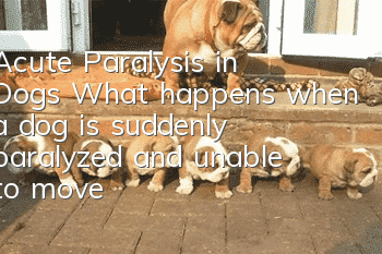 Acute Paralysis in Dogs What happens when a dog is suddenly paralyzed and unable to move?