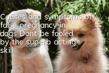 Causes and symptoms of false pregnancy in dogs Don’t be fooled by the superb acting skills of dogs