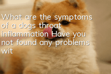 What are the symptoms of a dog’s throat inflammation? Have you not found any problems with your dog’s throat inflammation?