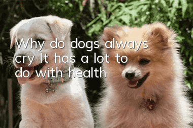 Why do dogs always cry? It has a lot to do with health!