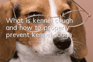 What is kennel cough and how to properly prevent kennel cough