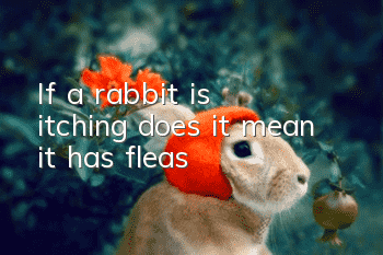 If a rabbit is itching, does it mean it has fleas?