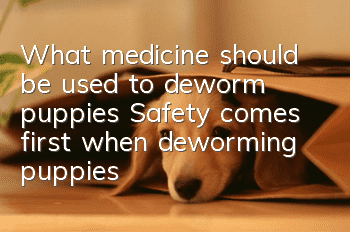 What medicine should be used to deworm puppies? Safety comes first when deworming puppies