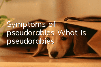 Symptoms of pseudorabies What is pseudorabies