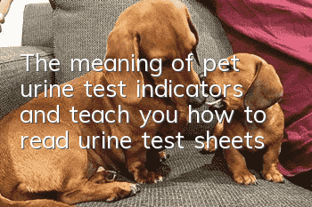 The meaning of pet urine test indicators and teach you how to read urine test sheets