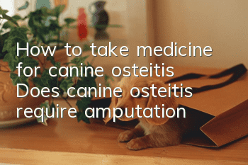 How to take medicine for canine osteitis? Does canine osteitis require amputation?