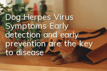 Dog Herpes Virus Symptoms: Early detection and early prevention are the key to disease