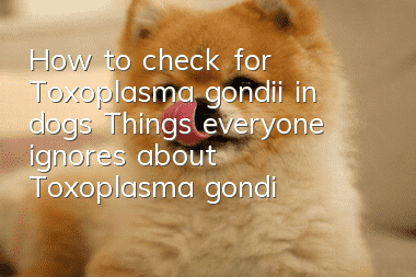 How to check for Toxoplasma gondii in dogs? Things everyone ignores about Toxoplasma gondii