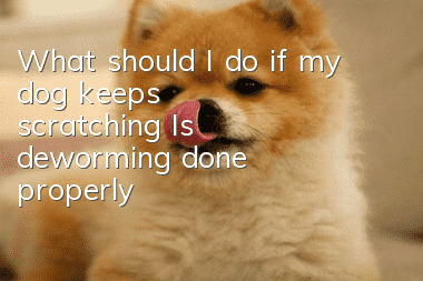 What should I do if my dog keeps scratching? Is deworming done properly?