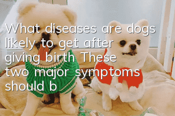 What diseases are dogs likely to get after giving birth? These two major symptoms should be prevented in advance