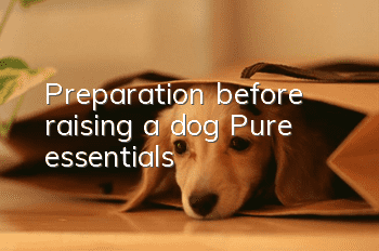 Preparation before raising a dog Pure essentials