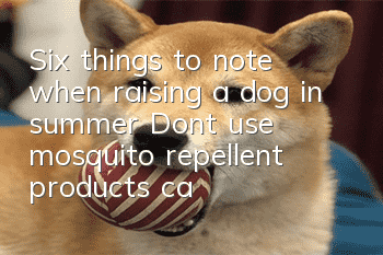 Six things to note when raising a dog in summer: Don’t use mosquito repellent products casually