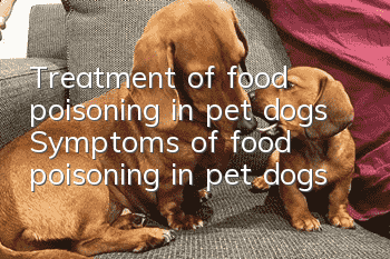 Treatment of food poisoning in pet dogs Symptoms of food poisoning in pet dogs