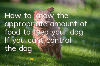 How to know the appropriate amount of food to feed your dog? If you can’t control the dog’s food intake, don’t keep it.