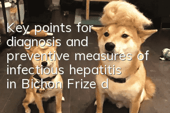 Key points for diagnosis and preventive measures of infectious hepatitis in Bichon Frize dogs. What should dogs eat if they are infected with hepatitis?
