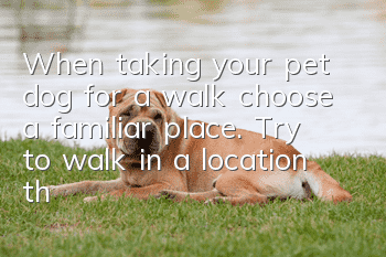 When taking your pet dog for a walk, choose a familiar place. Try to walk in a location that your dog is familiar with.