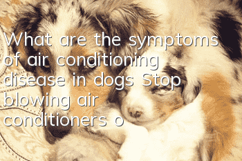 What are the symptoms of air conditioning disease in dogs? Stop blowing air conditioners on your dogs!
