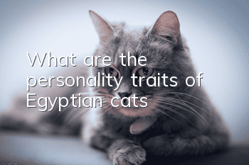 What are the personality traits of Egyptian cats?