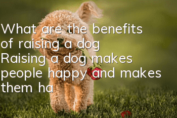 What are the benefits of raising a dog? Raising a dog makes people happy and makes them happy